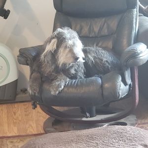 Meet your Posher, Lori